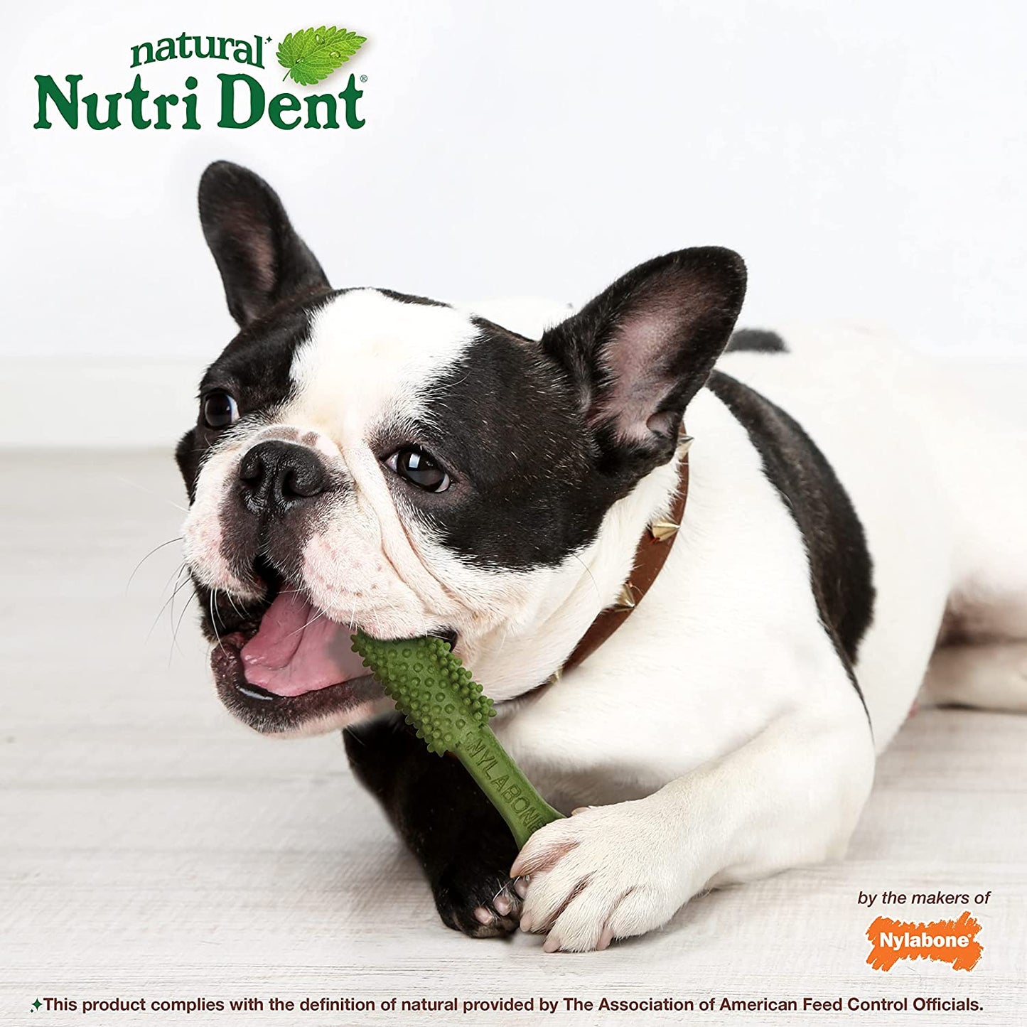 Nutri Dent Dog Dental Treats - Natural Dog Teeth Cleaning & Breath Freshener - Dental Treats for Dogs - Fresh Breath Flavor, Medium (40 Count)